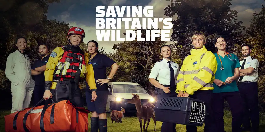 Saving Britain's Wildlife