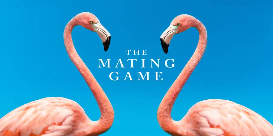 The Mating Game