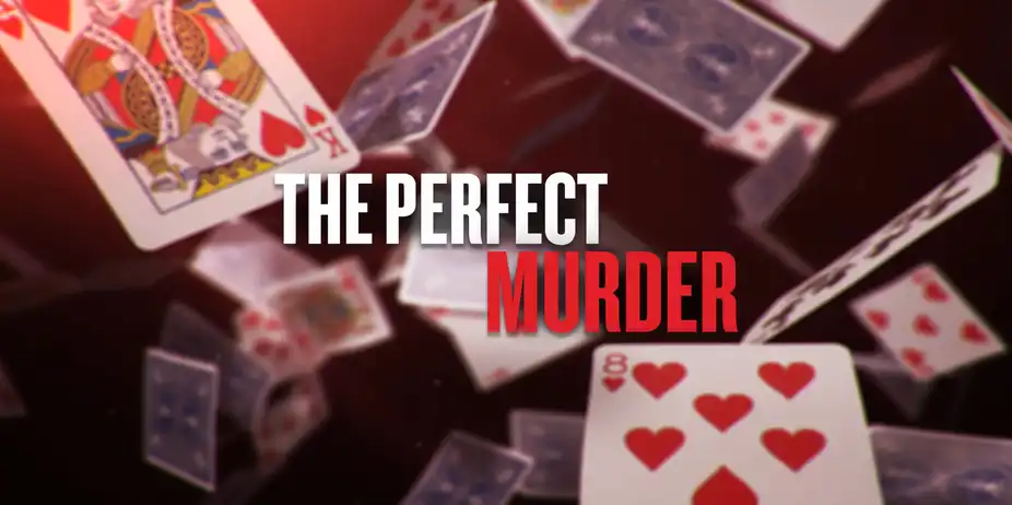 The Perfect Murder