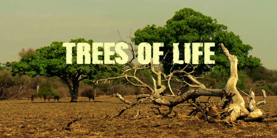 Trees of Life