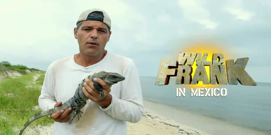 Wild Frank In Mexico (English Version)