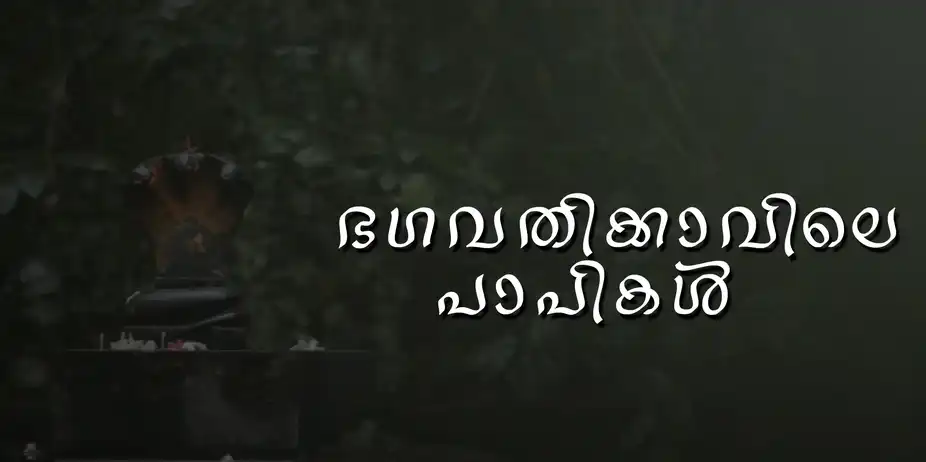 Bhagavathykavile Paapikal