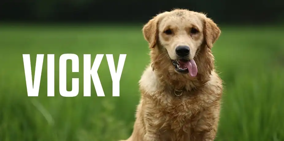 Vicky