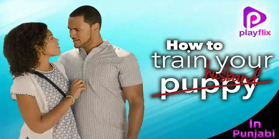 How To Train Your Husband