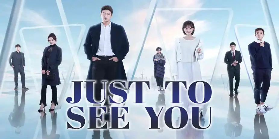 Just To See You (Chinese)
