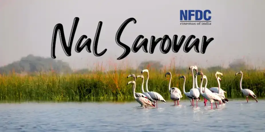 Nal Sarovar
