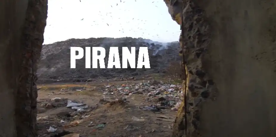 Pirana
