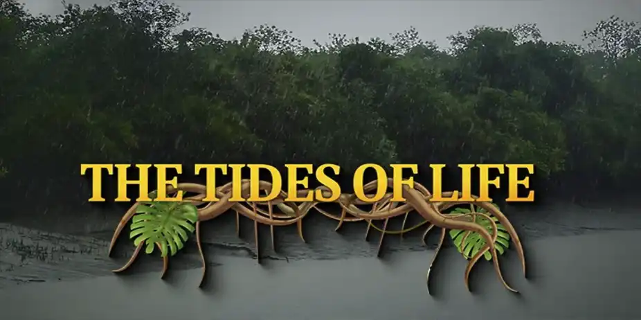 The Tides of Life