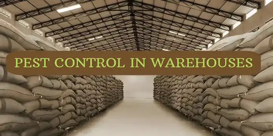 Pest control in warehouses