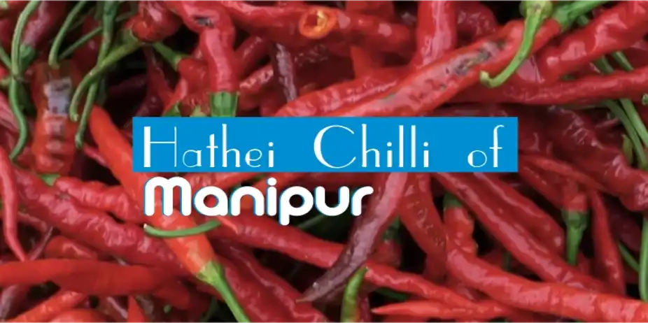 Hathei Chilli of Manipur
