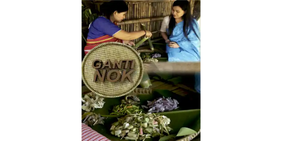 Ganti Nok