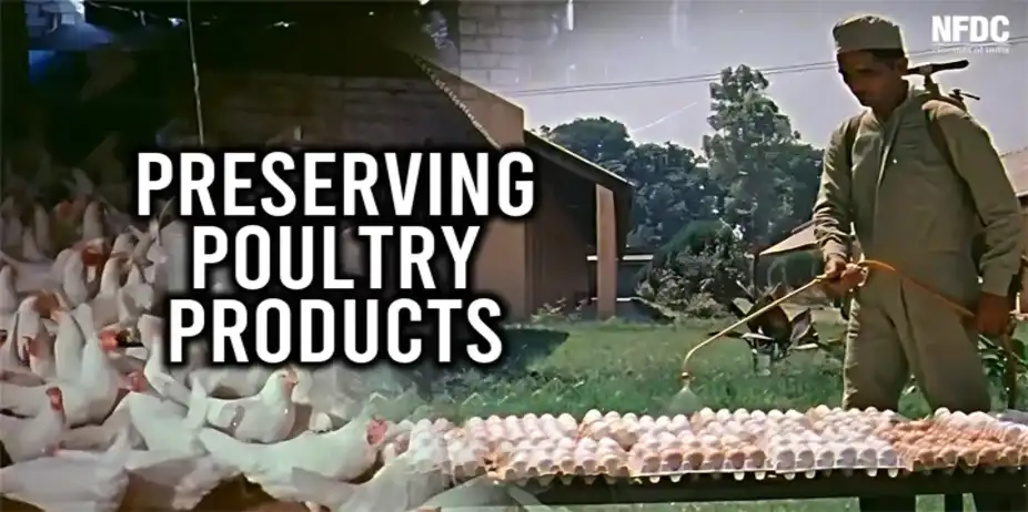 Preserving Poultry Products