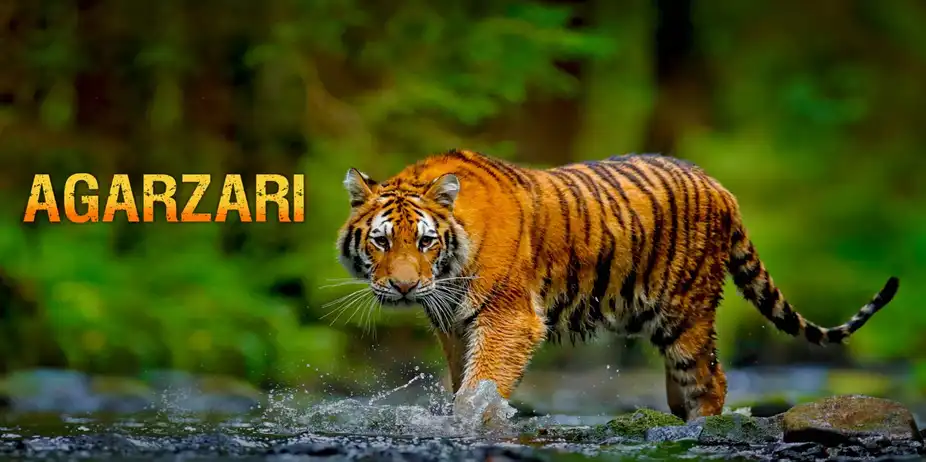 Agarzari (29 Jul)