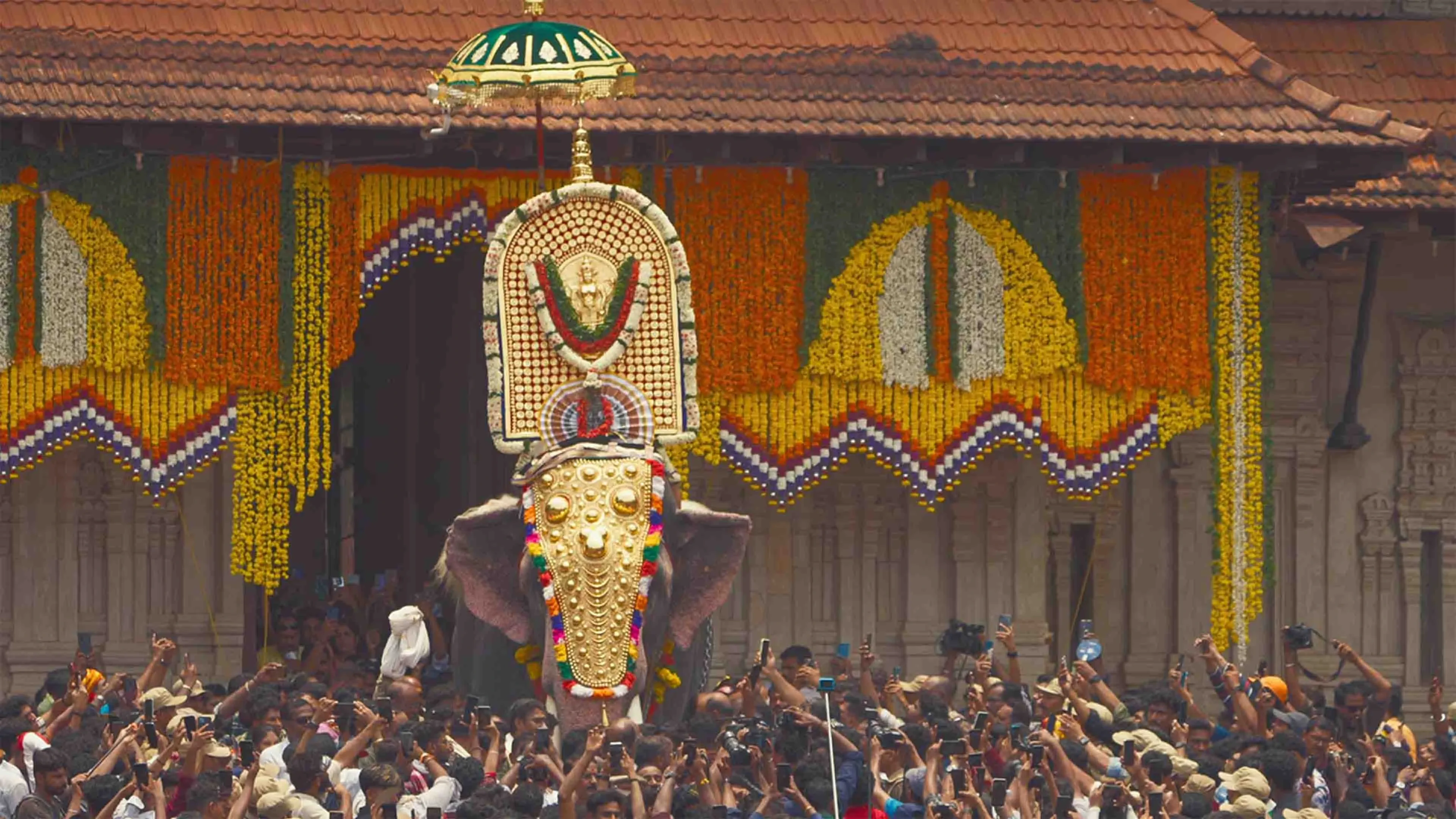 Festival Of Elephants: Thrissur Pooram