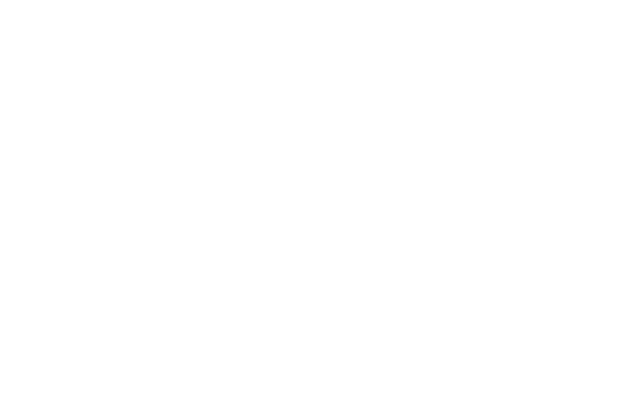 Jan Neta